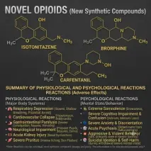 Novel Opioids