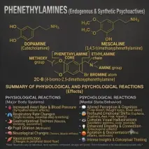 Phenethylamines