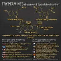 Tryptamines