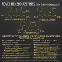 Novel Benzodiazepines