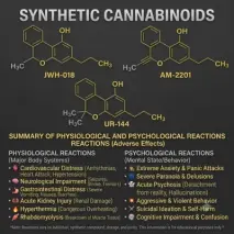 Synthetic Cannabinoids